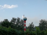 Watertorentje in de omgeving van Gastrar