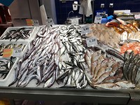 Allerlei soorten vissin en schelpen in de supermarcado om de hoek