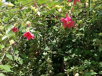 IMG_20190727_160516