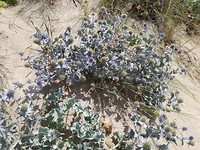 IMG_20190727_135513