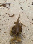 IMG_20190727_134542