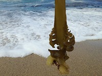 IMG_20190727_134104