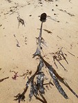 IMG_20190727_133916