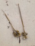 IMG_20190727_133816