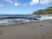 IMG_20190727_133432