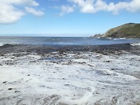 IMG_20190727_133322