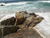 IMG_20190727_130909_1