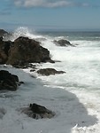 IMG_20190727_130631