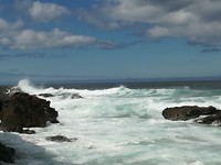 IMG_20190727_130348