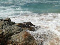 IMG_20190727_130328