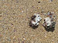 IMG_20190727_125544