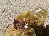 IMG_20190727_125523