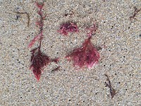 IMG_20190727_123558