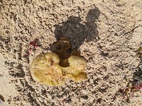 IMG_20190727_123409