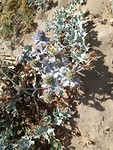 IMG_20190727_122325