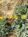 IMG_20190727_122313