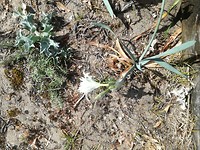 IMG_20190727_122248