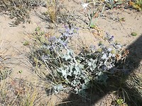 IMG_20190727_122210