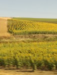IMG_20190729_183018