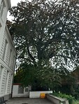 20200829_172310