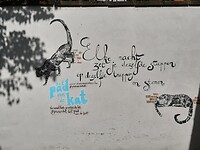 20200828_102937