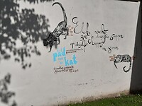 20200828_102929