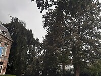 20200826_142145