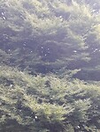 20200901_145632
