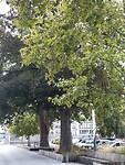 20200901_131636