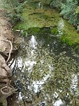 20200903_120530