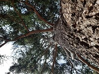 20200904_110345