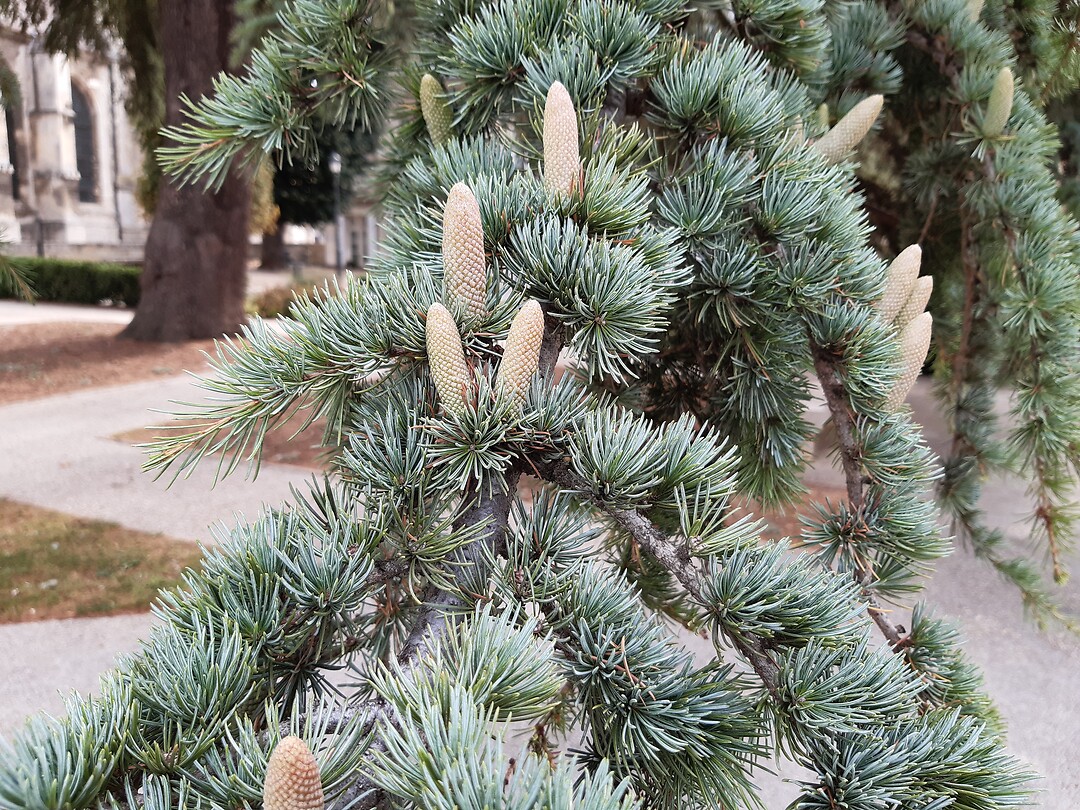 20200904_110303