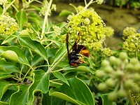 20200908_124517