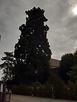 20200908_120805