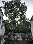 20200910_201141