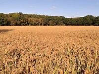 20200911_172618