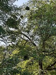 20200911_121409