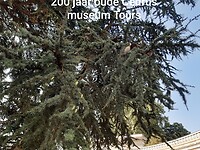 20200912_221828