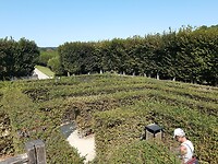 20200913_142130