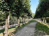 20200913_141847