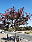 20200914_123904