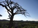 Bunyeroo Lookout