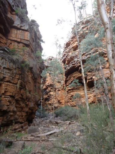 Alligator Gorge