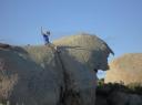 Rocky Rodeo