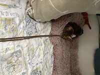 IMG_3797