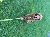 IMG_3795