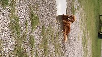 Een bad op de Spa