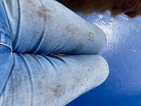 Zo ziet je broek eruit als er steeds een kat opspringt vanaf een vieze boot vloer