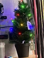 mijn schitterende boom
