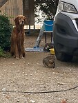 Petra heeft foto's genomen hoe ze samen zitten te wachten tot ik weer kom